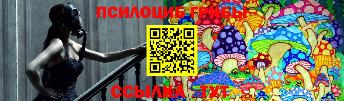 Пятигорск  Псилоцибиновые грибы GOLDEN TEACHER  как найти наркотики  Вход с VPN 